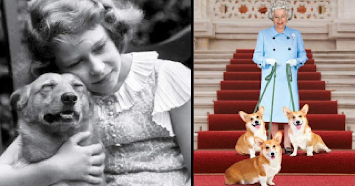 All About Queen Elizabeth II’s First Loves – Dogs & Horses