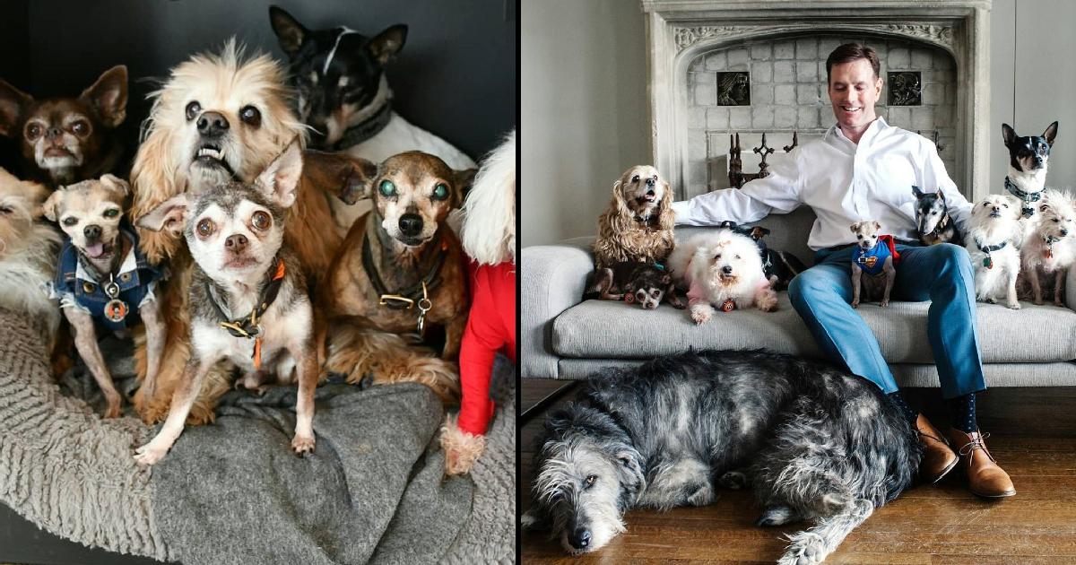 Man Devotes His Life To Adopting Old Dogs Who Can’t Find Forever Homes