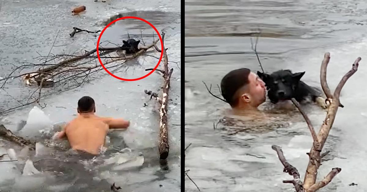 Diving Into A Frozen Lake To Rescue This Poor Dog